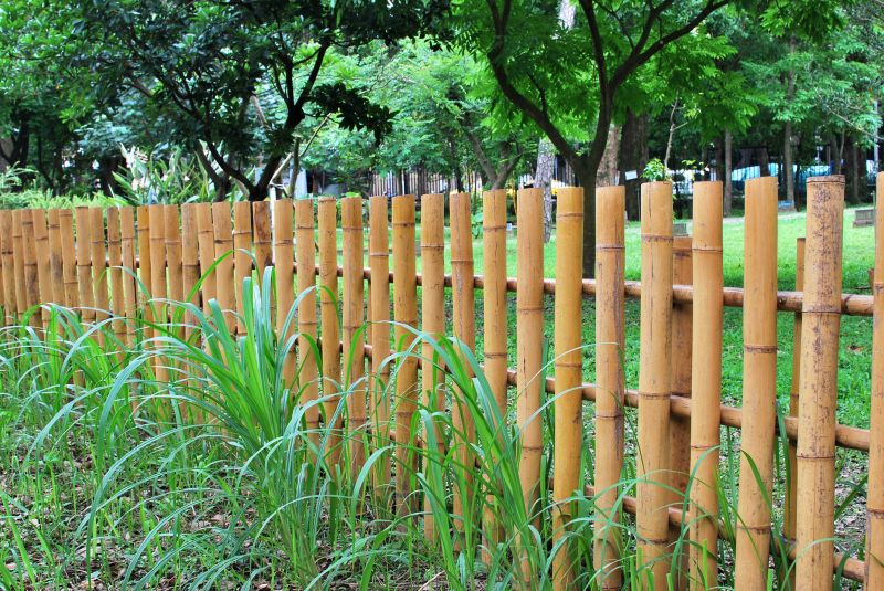 Bamboo Hedge Removal