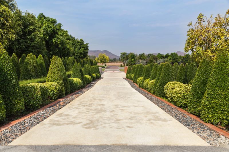 Neatly Trimmed Shrubs Along a Pathway