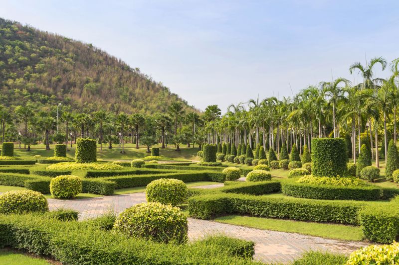 Finished Shrub Trimming