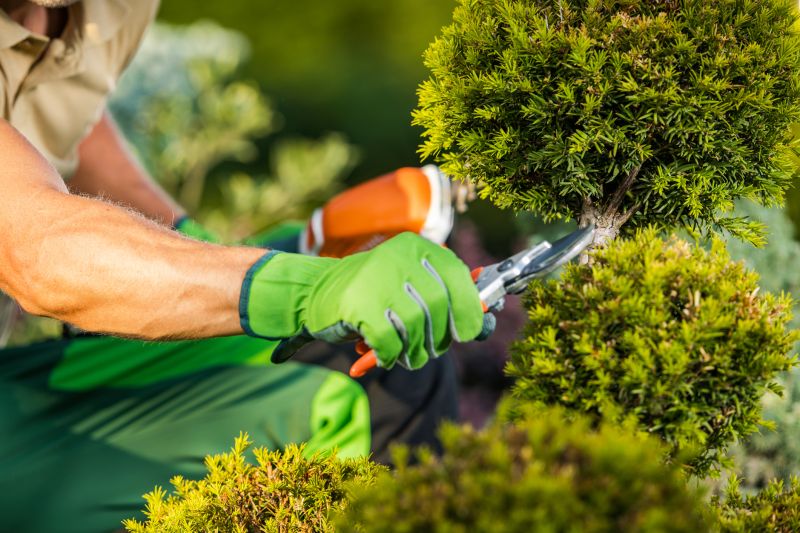 Huntsville Lawn and Garden Companies