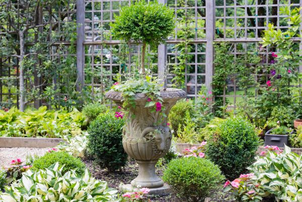 Topiary Pruning