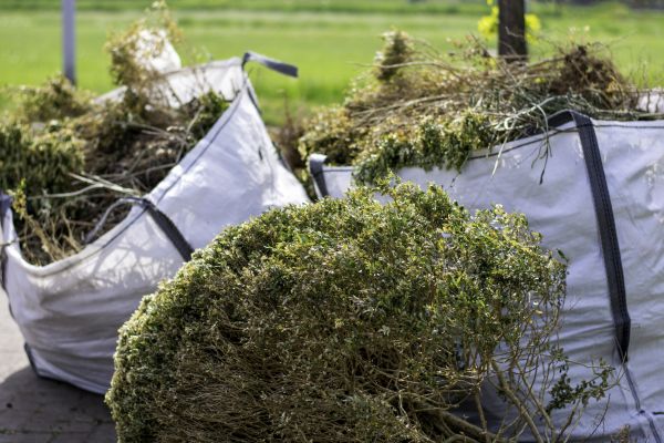 Cost of Shrubs Removal in Huntsville